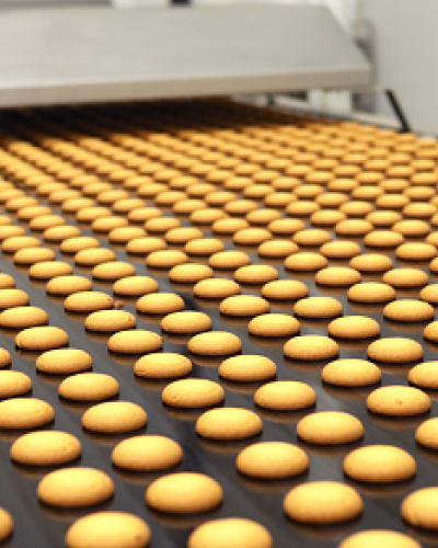 Bad Biscuit Detection