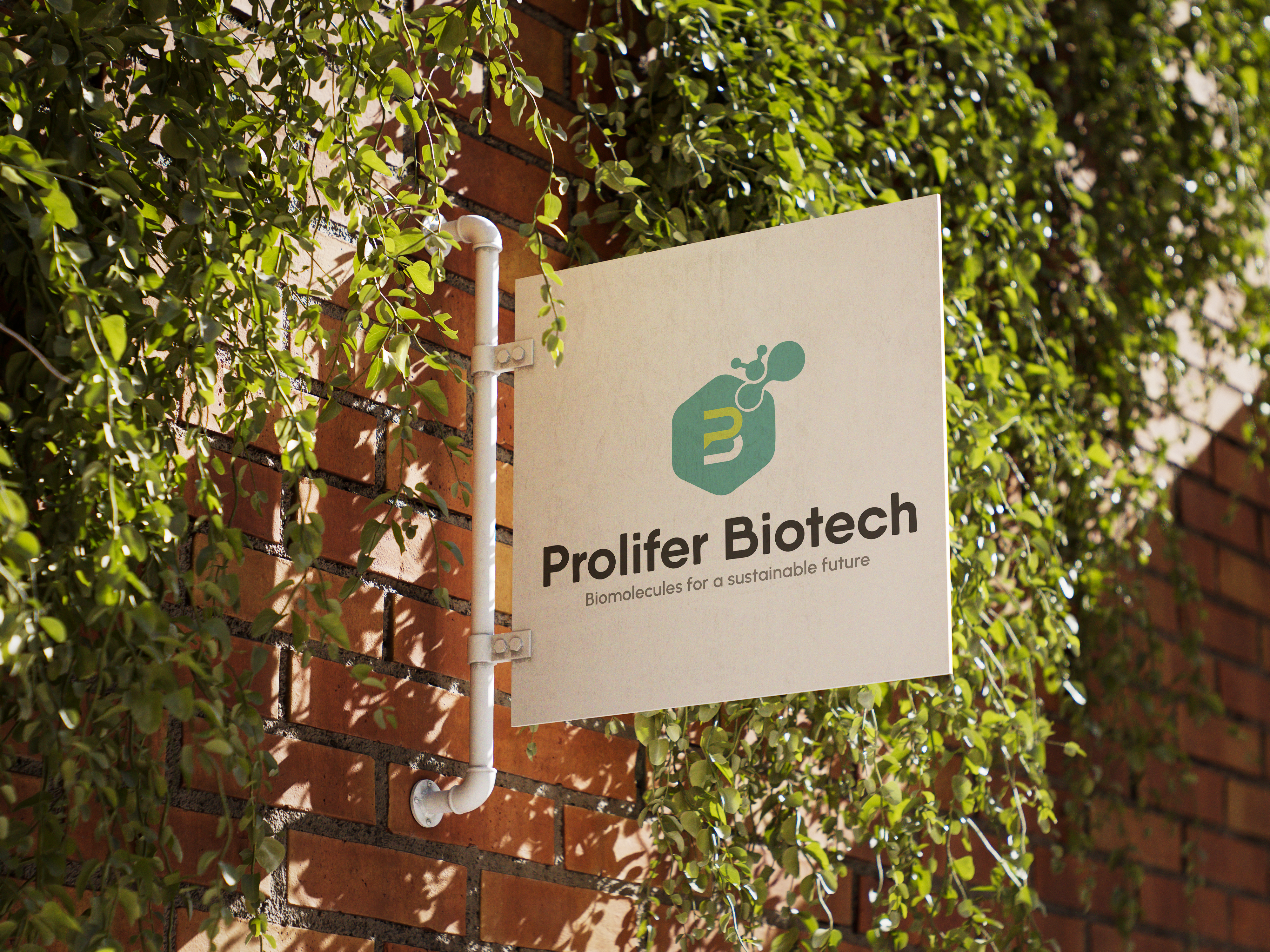 Prolifer Biotech